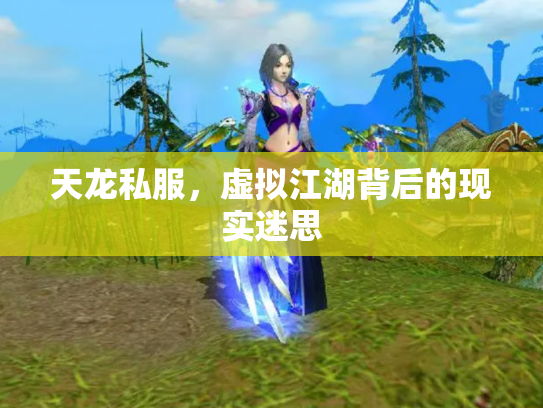 天龙私服，虚拟江湖背后的现实迷思