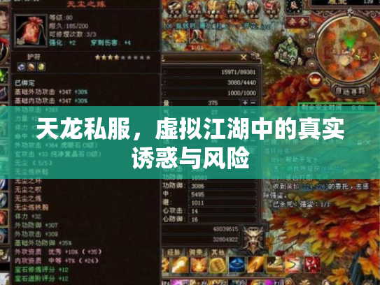 天龙私服，虚拟江湖中的真实诱惑与风险