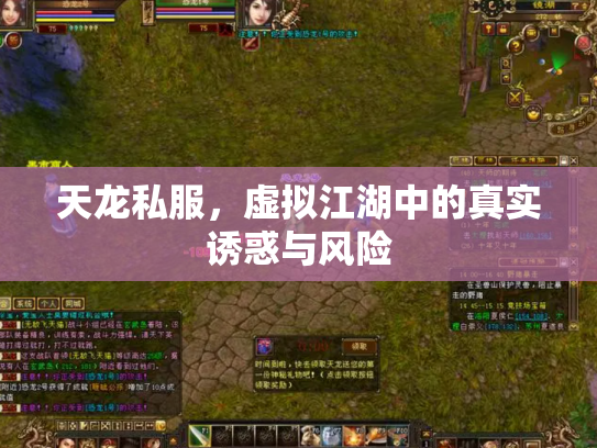 天龙私服，虚拟江湖中的真实诱惑与风险
