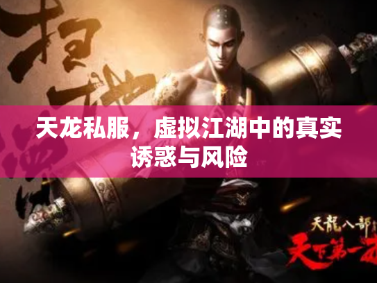 天龙私服，虚拟江湖中的真实诱惑与风险