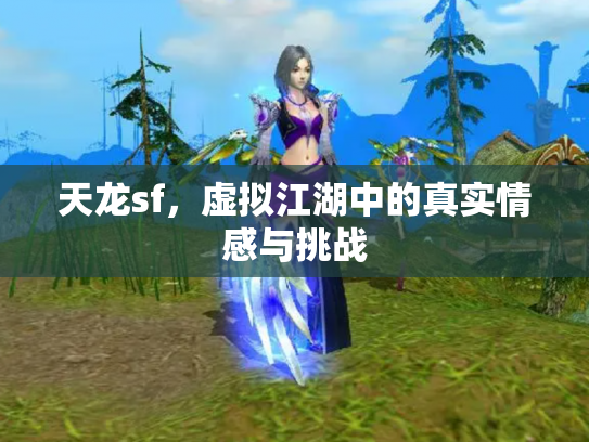 天龙sf，虚拟江湖中的真实情感与挑战
