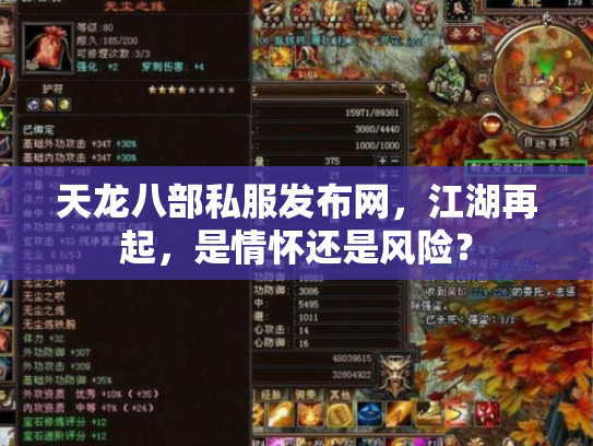 天龙八部私服发布网，江湖再起，是情怀还是风险？