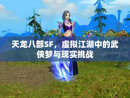 天龙八部SF，虚拟江湖中的武侠梦与现实挑战