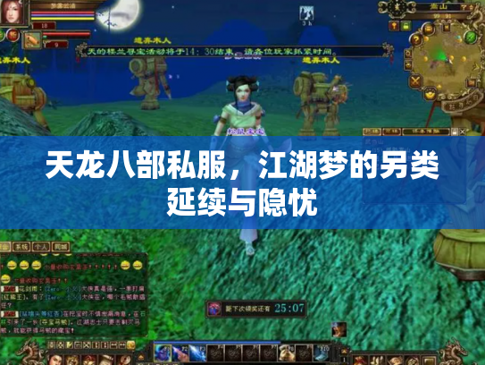 天龙八部私服，江湖梦的另类延续与隐忧