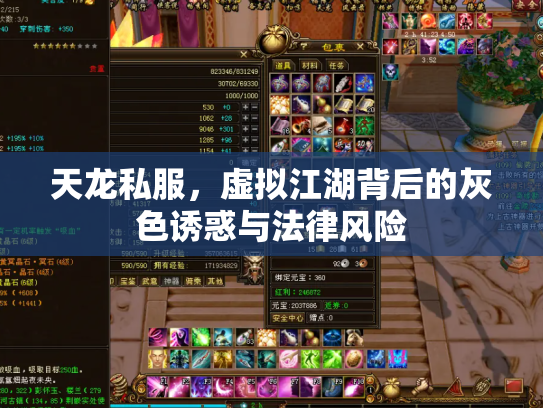 天龙私服，虚拟江湖背后的灰色诱惑与法律风险