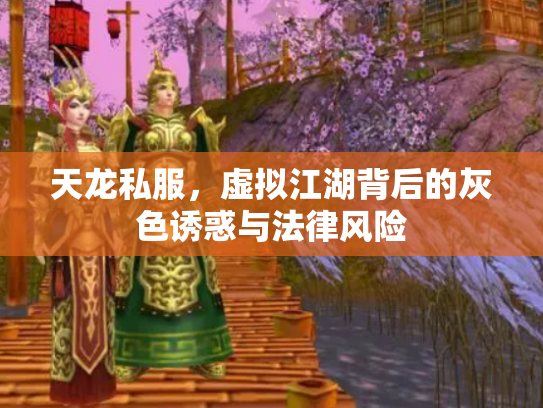 天龙私服，虚拟江湖背后的灰色诱惑与法律风险