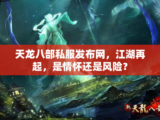 天龙八部私服发布网，江湖再起，是情怀还是风险？