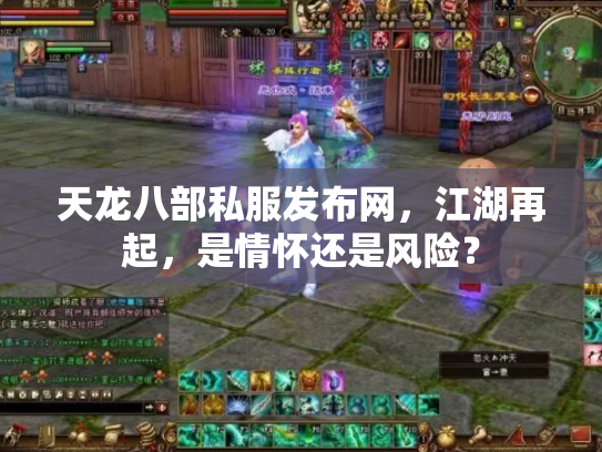 天龙八部私服发布网，江湖再起，是情怀还是风险？