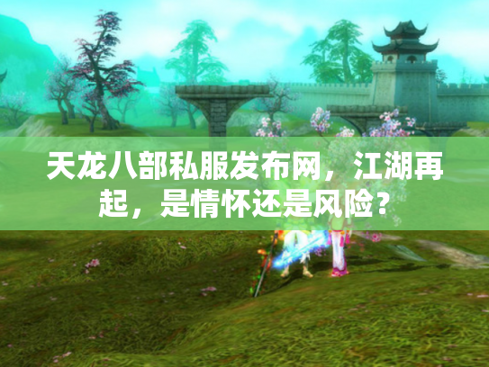 天龙八部私服发布网，江湖再起，是情怀还是风险？