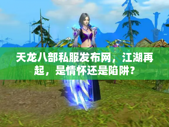 天龙八部私服发布网，江湖再起，是情怀还是陷阱？