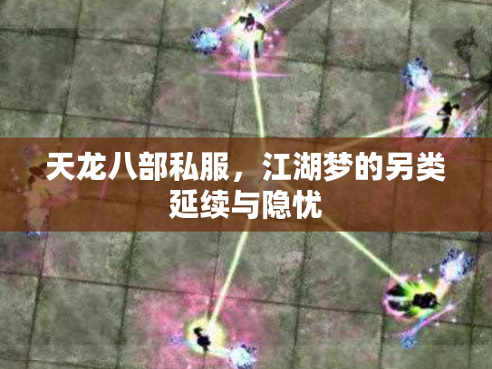 天龙八部私服，江湖梦的另类延续与隐忧