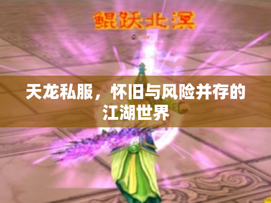 天龙私服，怀旧与风险并存的江湖世界