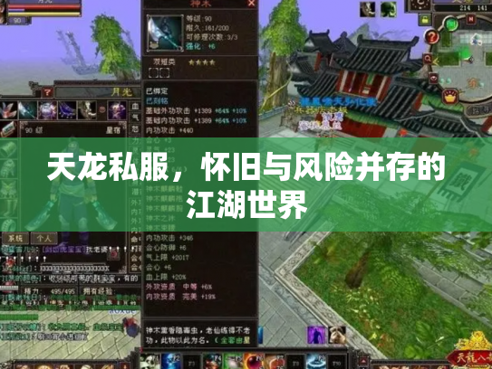 天龙私服，怀旧与风险并存的江湖世界