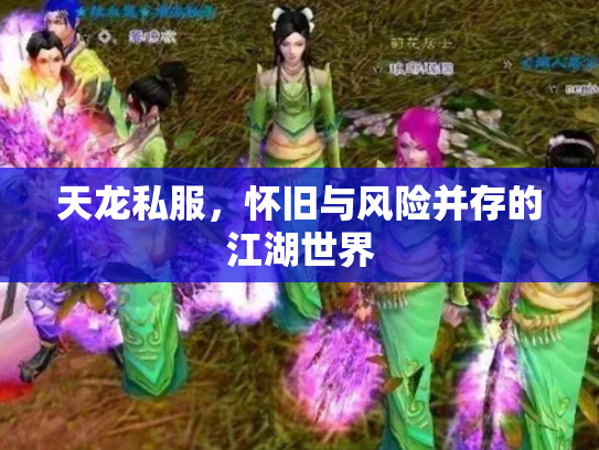 天龙私服，怀旧与风险并存的江湖世界