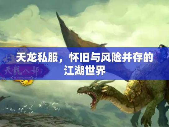 天龙私服，怀旧与风险并存的江湖世界