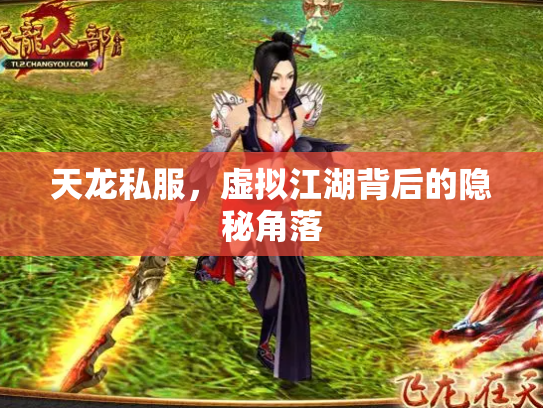 天龙私服，虚拟江湖背后的隐秘角落