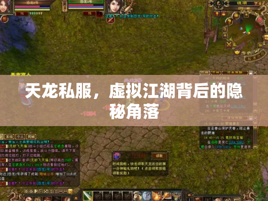 天龙私服，虚拟江湖背后的隐秘角落