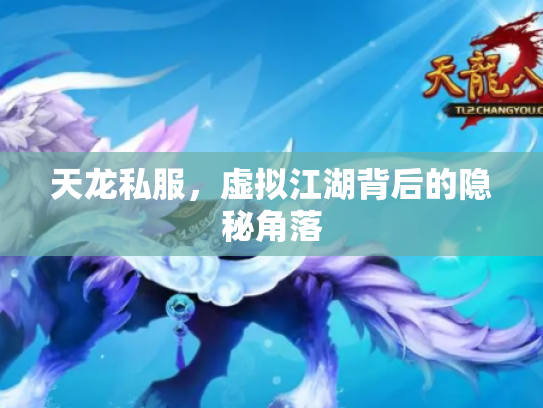 天龙私服，虚拟江湖背后的隐秘角落