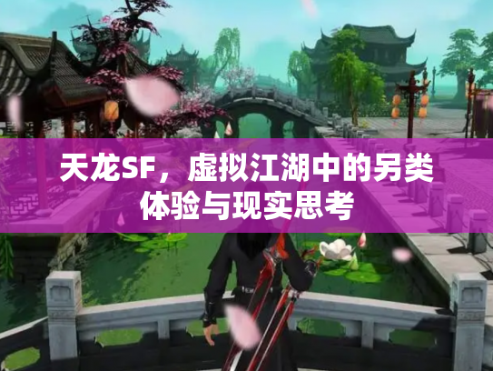 天龙SF，虚拟江湖中的另类体验与现实思考