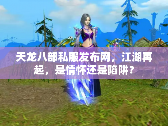 天龙八部私服发布网，江湖再起，是情怀还是陷阱？