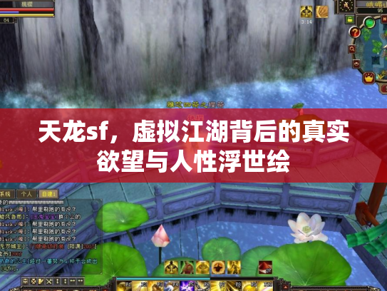 天龙sf，虚拟江湖背后的真实欲望与人性浮世绘