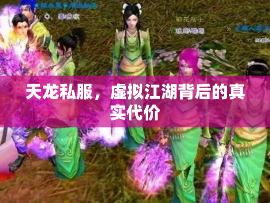 天龙私服，虚拟江湖背后的真实代价