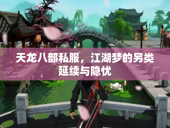 天龙八部私服，江湖梦的另类延续与隐忧