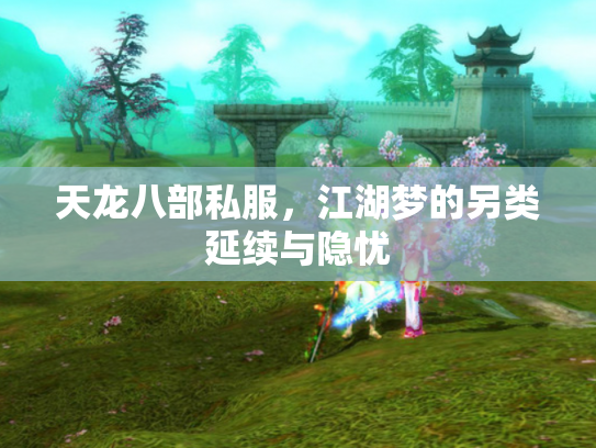 天龙八部私服，江湖梦的另类延续与隐忧