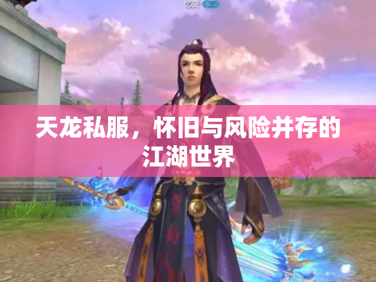 天龙私服，怀旧与风险并存的江湖世界