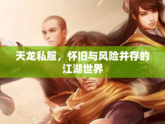 天龙私服，怀旧与风险并存的江湖世界