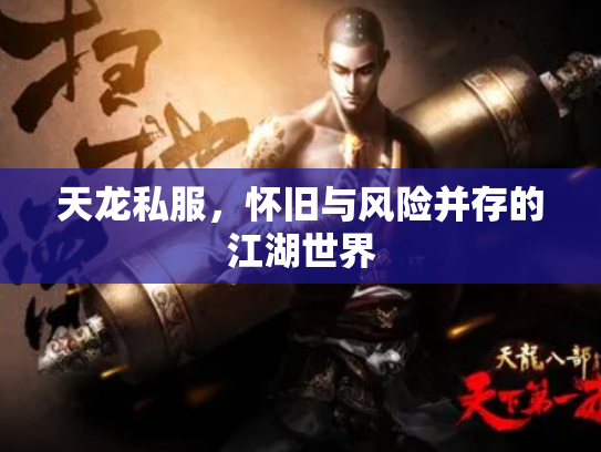 天龙私服，怀旧与风险并存的江湖世界