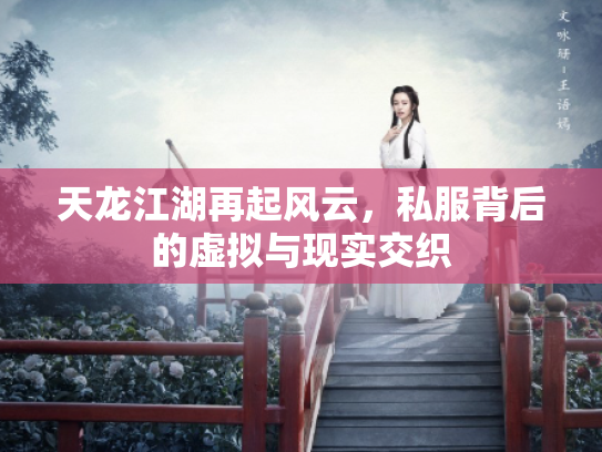 天龙江湖再起风云，私服背后的虚拟与现实交织