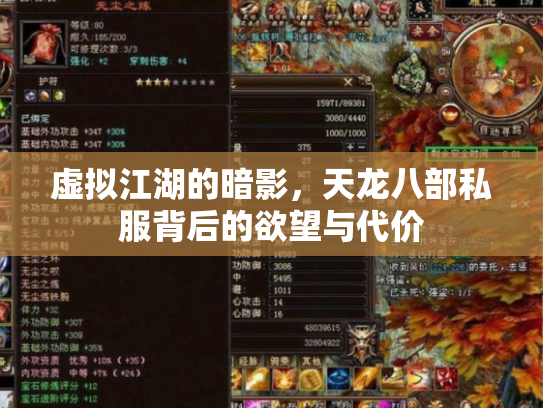 虚拟江湖的暗影，天龙八部私服背后的欲望与代价
