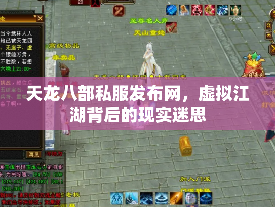 天龙八部私服发布网，虚拟江湖背后的现实迷思