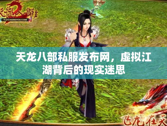 天龙八部私服发布网，虚拟江湖背后的现实迷思