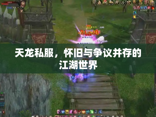 天龙私服，怀旧与争议并存的江湖世界