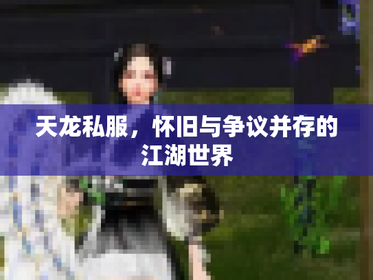 天龙私服，怀旧与争议并存的江湖世界