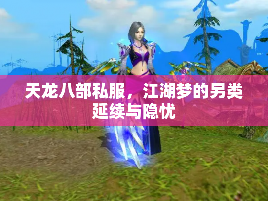 天龙八部私服，江湖梦的另类延续与隐忧