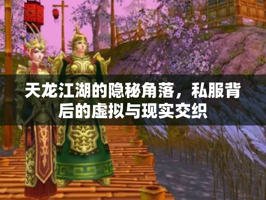 天龙江湖的隐秘角落，私服背后的虚拟与现实交织
