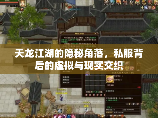 天龙江湖的隐秘角落，私服背后的虚拟与现实交织