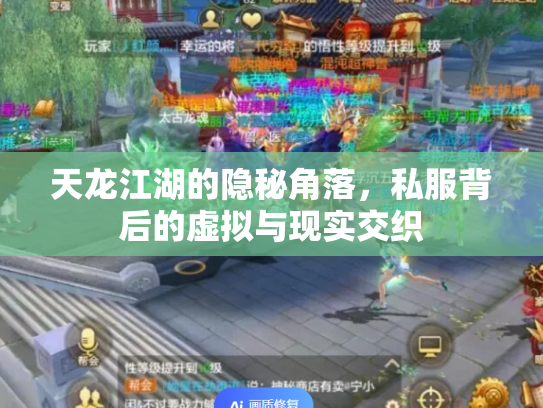 天龙江湖的隐秘角落，私服背后的虚拟与现实交织