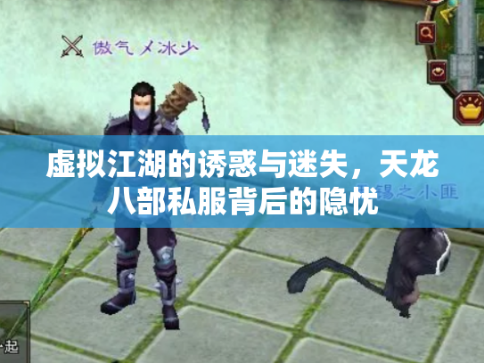 虚拟江湖的诱惑与迷失，天龙八部私服背后的隐忧