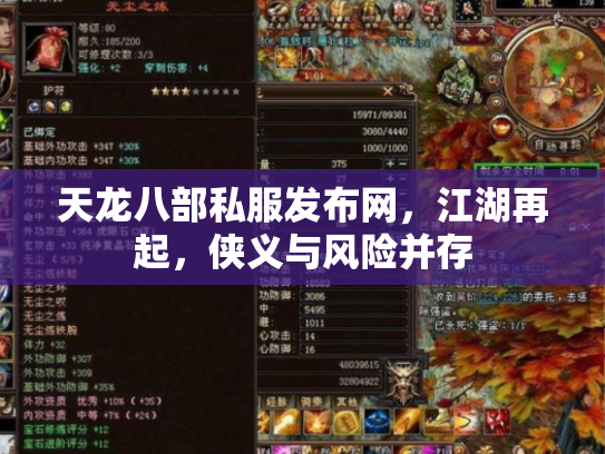 天龙八部私服发布网，江湖再起，侠义与风险并存