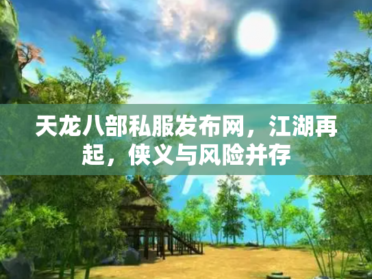 天龙八部私服发布网，江湖再起，侠义与风险并存