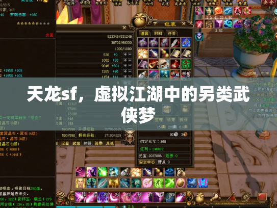 天龙sf，虚拟江湖中的另类武侠梦