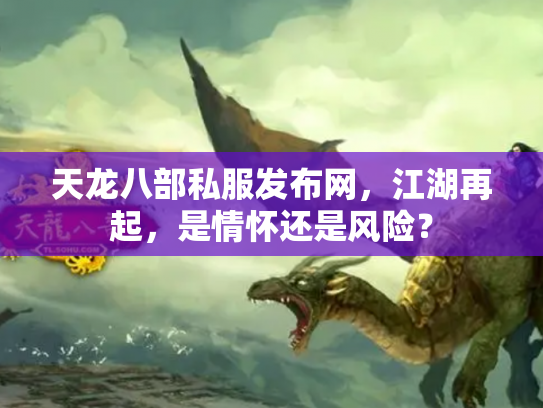 天龙八部私服发布网，江湖再起，是情怀还是风险？
