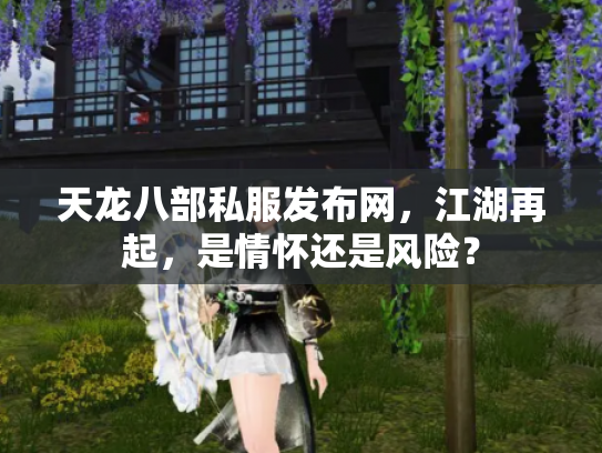 天龙八部私服发布网，江湖再起，是情怀还是风险？