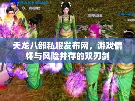 天龙八部私服发布网，游戏情怀与风险并存的双刃剑