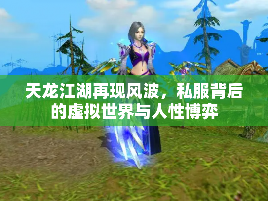 天龙江湖再现风波，私服背后的虚拟世界与人性博弈