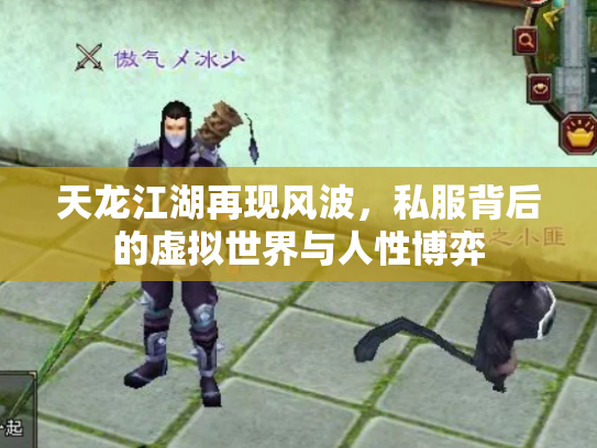 天龙江湖再现风波，私服背后的虚拟世界与人性博弈